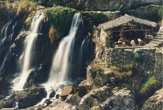 泽雅.jpg 20160803_152827_029.jpg