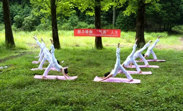 QQ截图20160801150748_副本.jpg 20160810_142616_037.jpg