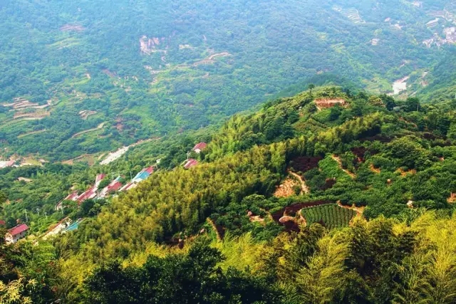 2_副本.jpg 20160811_103832_022.jpg