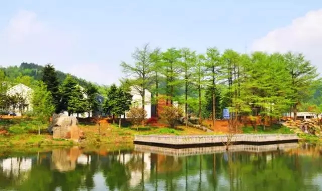 仰天湖山庄.png 20160811_103832_020.jpg