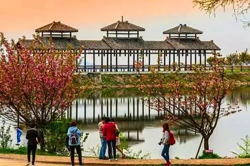 3.jpg 20160811_103832_023.jpg