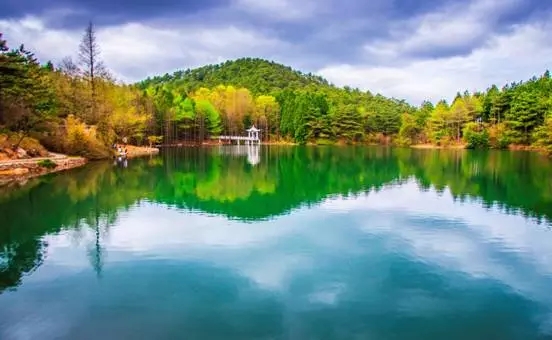 四明山森林1.png 20160811_103832_016.jpg