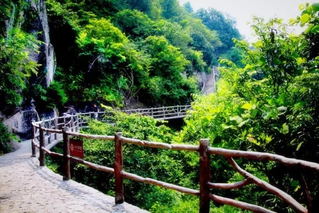 1_副本.jpg 20160811_103832_024.jpg