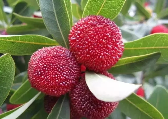 640.webp (1).jpg 20160824_150240_037.jpg