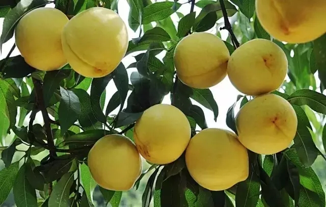 640.webp (3).jpg 20160824_150240_039.jpg