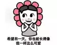 5763f18c7f52e97a7b000092_640.jpg 640.webp.jpg