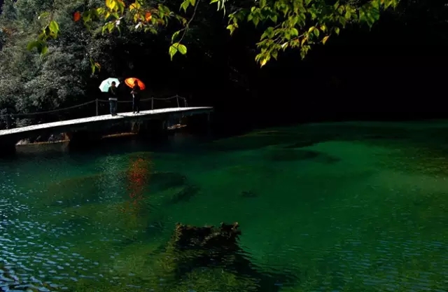 2809364559nj_p.jpg 20160827_091846_007.jpg