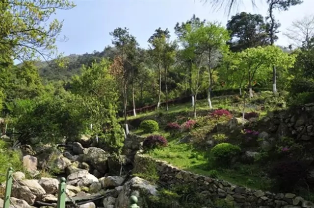 白云山.jpg 20160827_091846_010.jpg