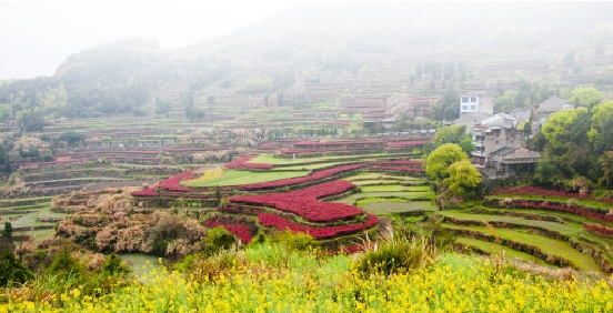 梯田风光美如画——周末线路推荐